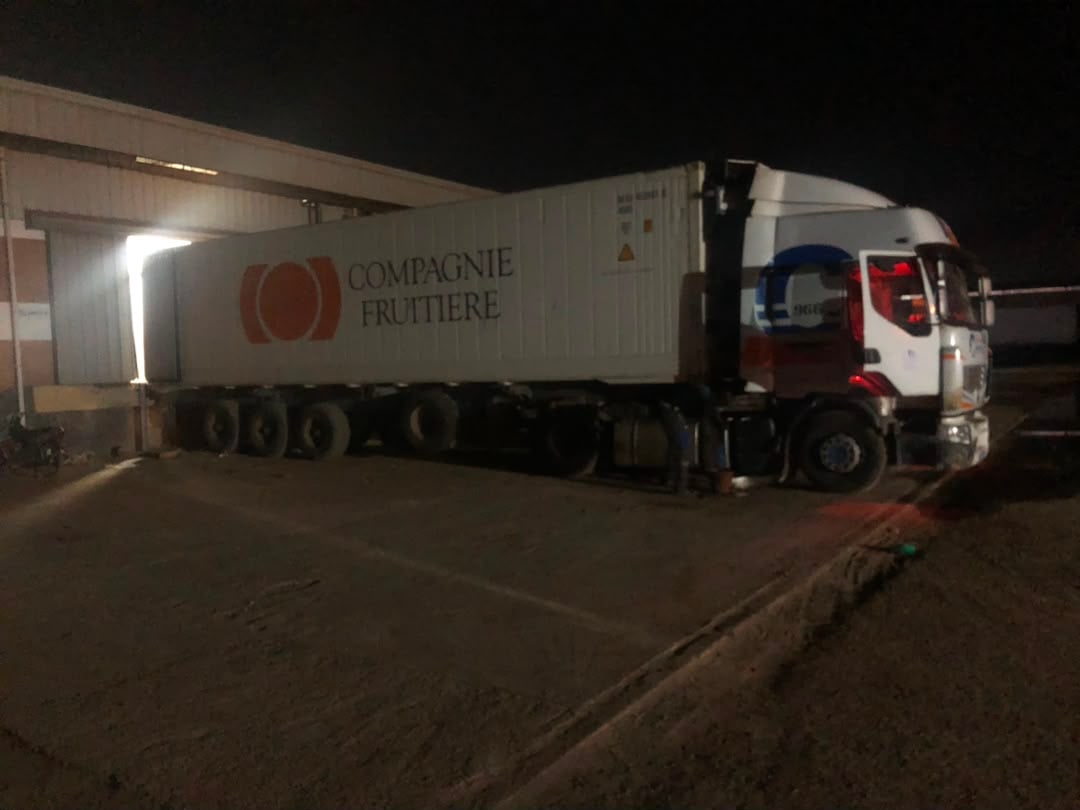 Conteneur rempli de cartons de mangues, prêt à quitter la station de conditionnement