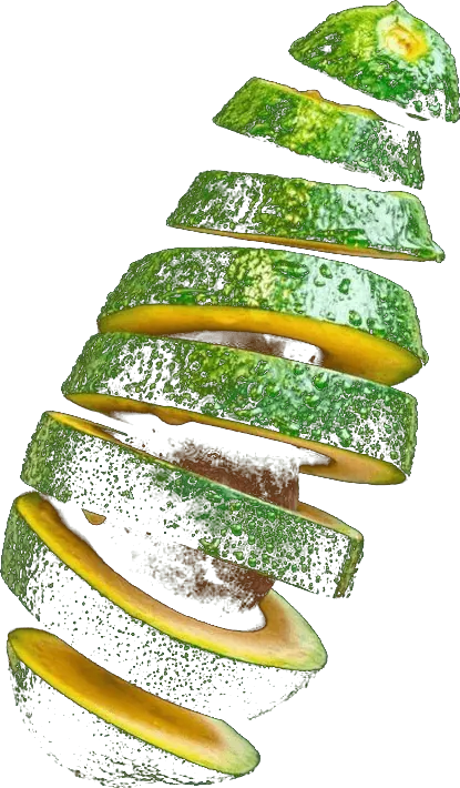 Avocat (Avocado) — export premium Tropicaura