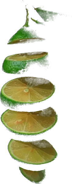 Citron vert (Lime) — export premium Tropicaura