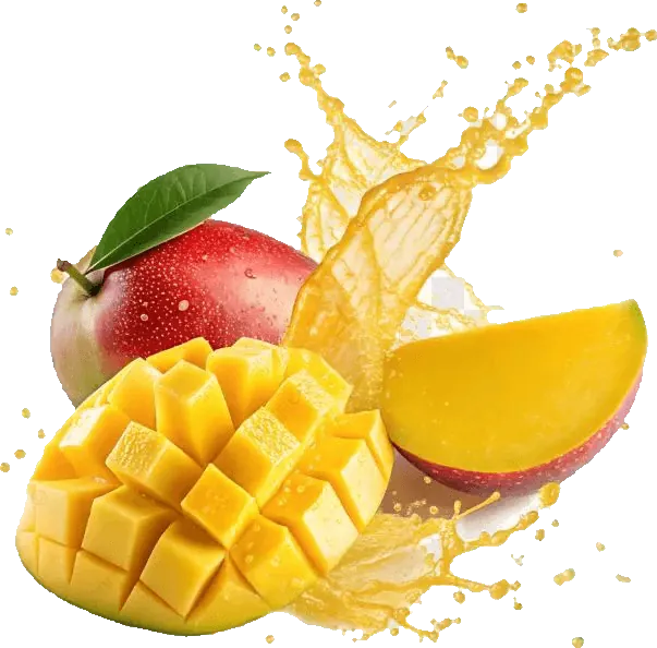 Mangue Kent (Kent Mango) — export premium Tropicaura