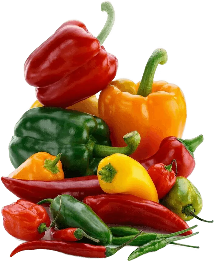 Piments (Chili Peppers) — export premium Tropicaura
